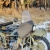 Owiewka szyba motocykla przód Ural Dniepr M-72 MW-750 ZIELONY BREZENT